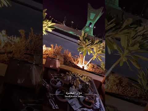 يابنت جاكم ضيف جايع وعطشان اربكم من زادكم تكرمونه نمر 