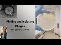 Finding and Isolating Phages