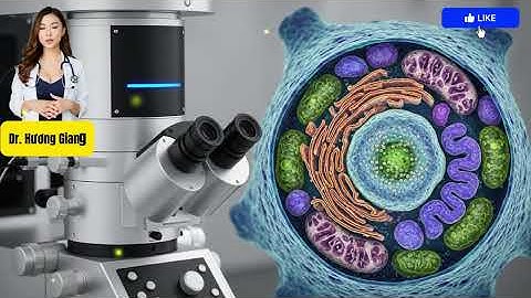 Bác Sĩ Tiết Niệu Tiết Lộ: Tư Thế Giúp 89% Phụ Nữ Đạt Cực Khoái (Theo Nghiên Cứu Của Y Khoa )