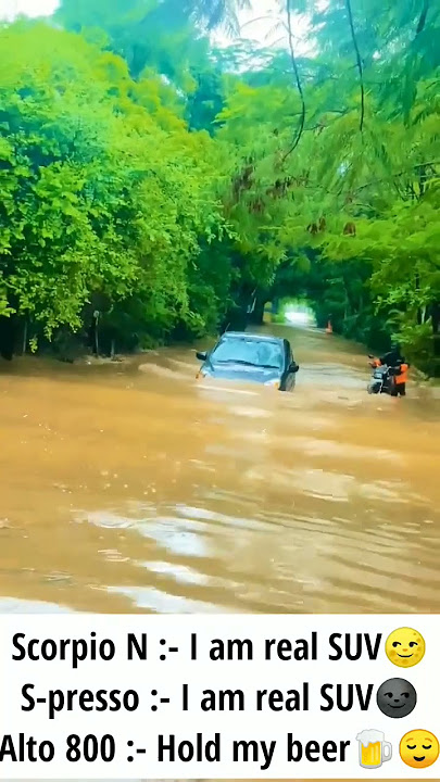 Alto 800 water crossing || Alto 800 off-roading || pulkit awasthi #shorts