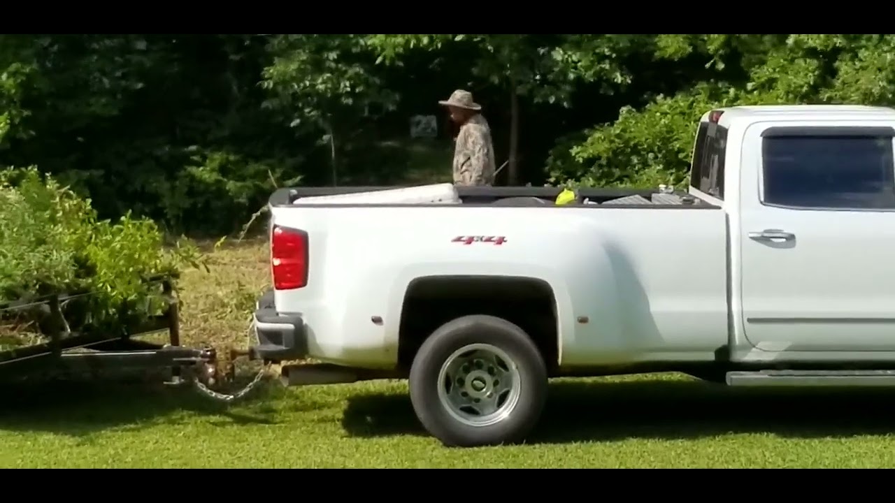 Killing Snakes YouTube