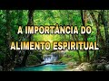 A IMPORTÂNCIA DO ALIMENTO ESPIRITUAL - //Rosângela Camps ♥