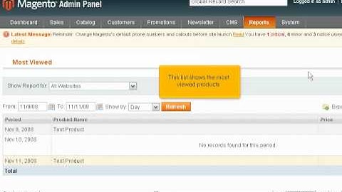 Magento how to view reports