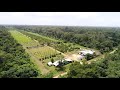Organic Acerola Swisssur LAL Farms Plantation Suriname Organic Acerola Swisssur LAL Farms Plantation Suriname
