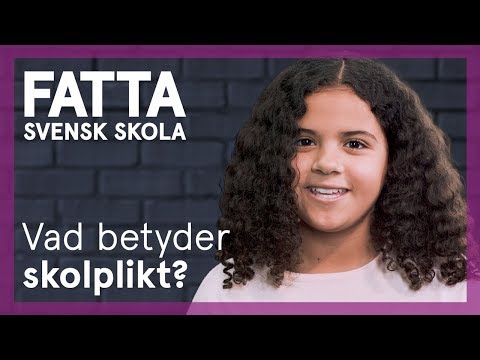 Video: Vad betyder skolsystemet?