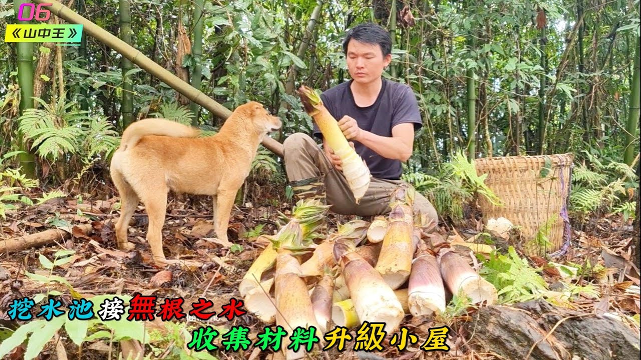 上山挖水池接無根之水，收集材料升級小屋《山中王》06