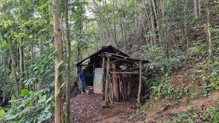 Reckless ‼️ Living Alone in a Small Hut in the Middle of the Forest on a Mountain Top for Dozens ...