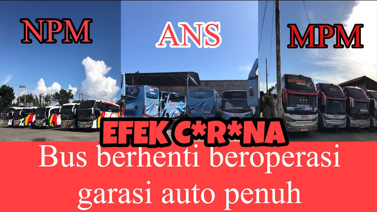 Bus NPM ANS MPM berhenti beroperasi-Garasi bus auto penuh ...