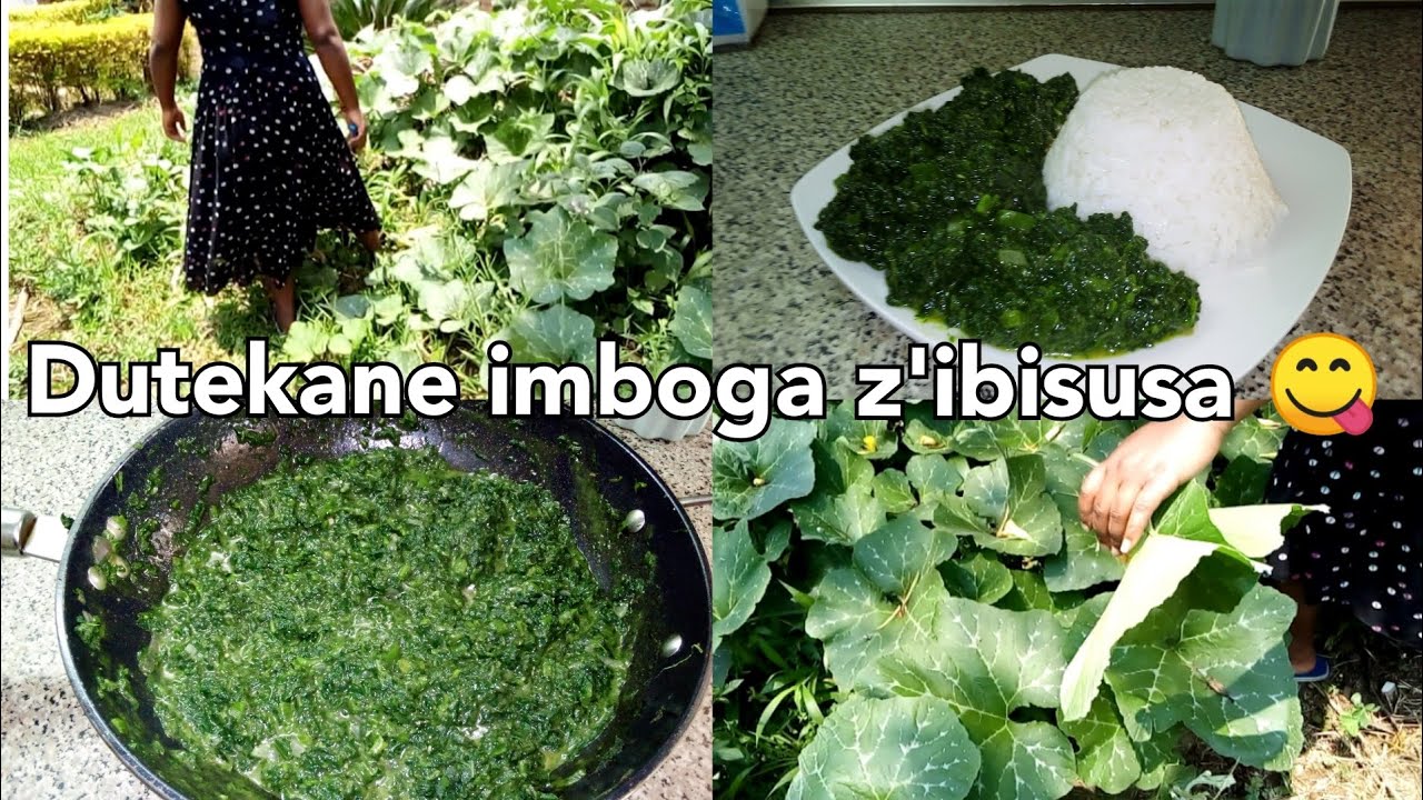 GUTEKA:Dutekane imboga z'ibisusa zo kurisha UMUCERI🥰👌African vegetables😋