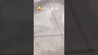 مروان موسي و شاهين و دبل زوكش و عفروتو و باتي في النقابه