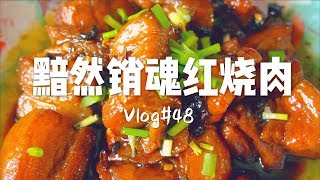 【生酮食谱】黯然销魂红烧肉——一块让你忘记烦恼的肉 Vlog48