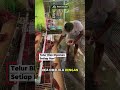 Ide Usaha Peternakan Rumahan Modal Kecil 200 Ribuan Sampai 500 Ribuan.