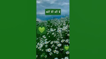 سوره القارعه بصوت القارئ الشيخ فارس عباد #المصحف