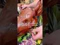 Discover One of the Best Pork Off Cuts You Can Get!