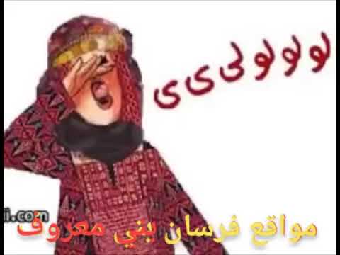 مواقع فرسان بني كنك غريبة