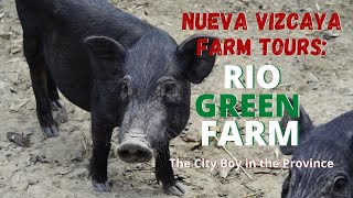 Rio Green Farm | Nueva Vizcaya Farm Tours | Farm Life