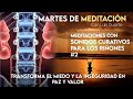 Meditaciones con SONIDOS CURATIVOS # 2 - Sana tus RIÑONES