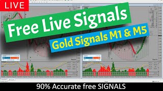 Gold Live Scalping Signals - XAUUSD M1 &amp; M5 Timeframe | High Accuracy Signals Almost No Risk