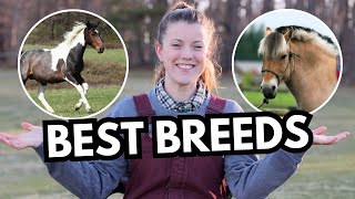 Best Breeds for FirstTime Horse Owners