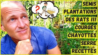 L'automne arrive au potager - Qu'y faire ? - Vlog potager #Mi-septembre2021