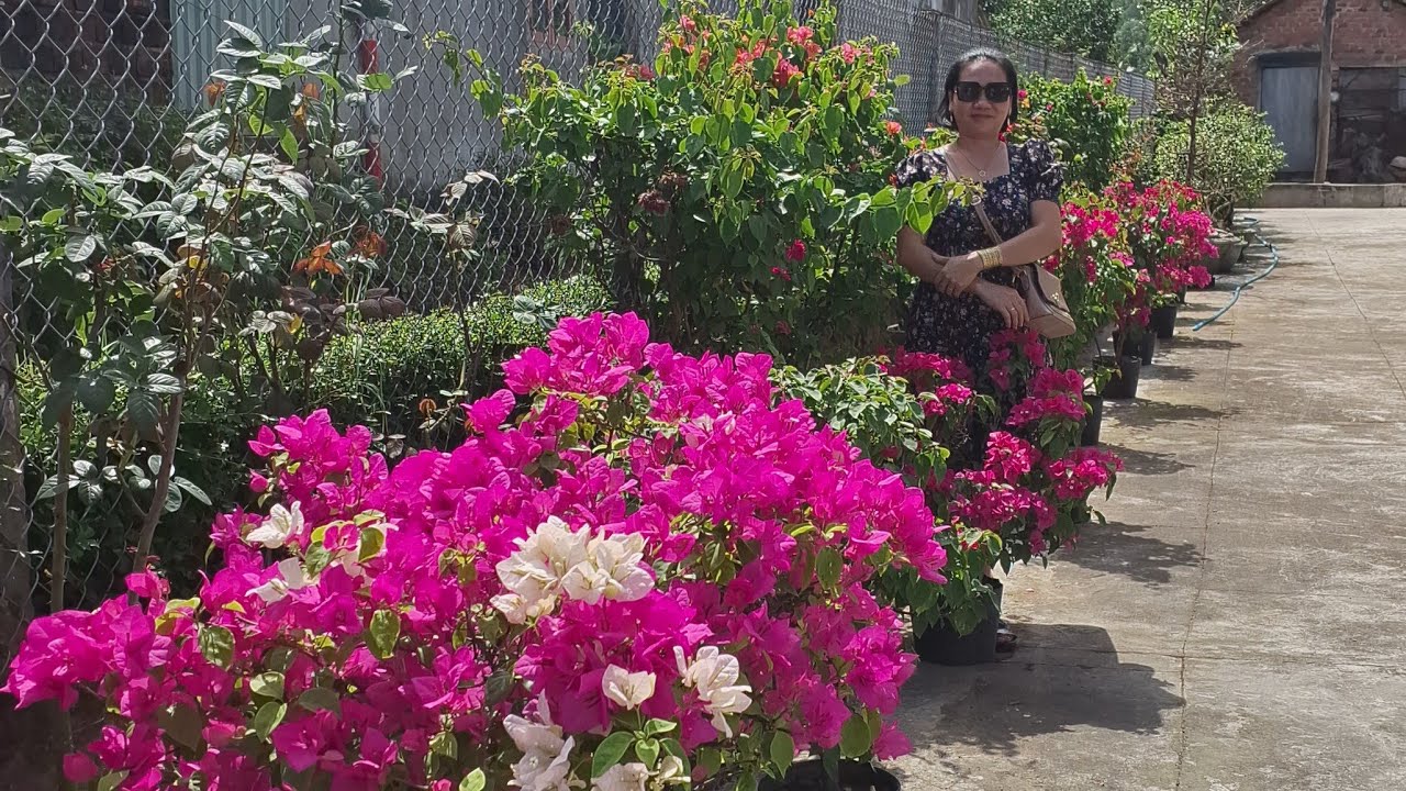 Đến hẹn lại lên trò chuyện vv♥️🌹P143