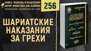 Шариатские наказания за грехи | Болезнь и Исцеление | Абдурраззак аль-Бадр | №256