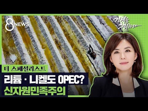   니켈 리튬판 OPEC 세계에 부는 신자원민족주의 바람 SBS 더스페셜리스트