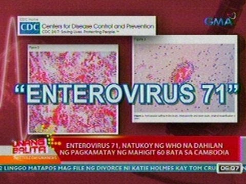 Video: Natukoy ng mga siyentista ang mga sanhi ng pangangalunya