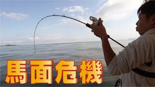 ウマヅラの泳がせ釣りに予想だにしなかった(247話目)