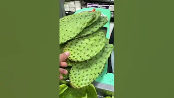Мексиканская кухня Кактус Обзор в магазине Мексика Кактус Нопал