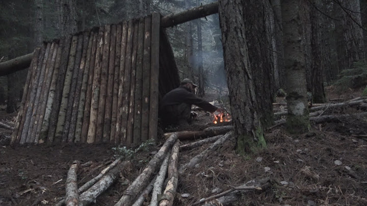 Primitive technology. Building A-frame shelter  in the wilderness with my dog Bonny Axe.Saw. Cooking