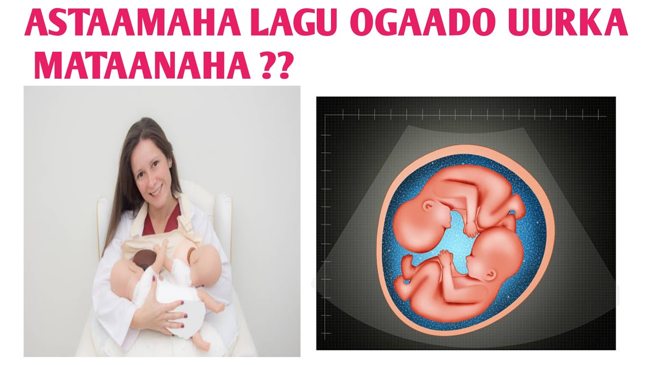 ASTAAMAHA LAGU OGAAN KARO IN HOOYADA UUR MATAANO LEDAHAY.