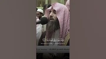 وكان الله غفورا رحيما محمد اللحيدان قرآن قرآن كريم القرآن الكريم Quran محمد اللحيدان 