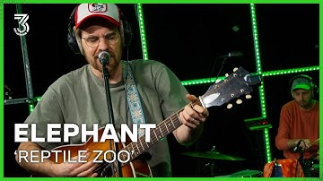 Elephant live met ‘Reptile Zoo’ | 3FM Live Box | NPO 3FM