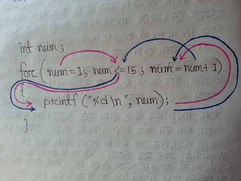 How do work for loop in C programming language?