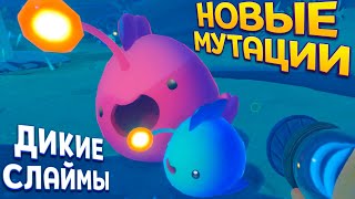 НОВЫЕ МУТАЦИИ СЛАЙМОВ ( Slime Rancher 2 )