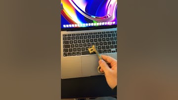 How to Rearrange PDF Document? 📃