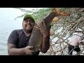 2 Days Fish Hunting in Different locations &amp; Catching Big fish by Fisherman|Unbelievable Fishing