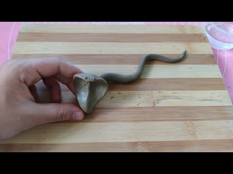 How To Make Snake With Clay /Easy Way To Make Clay Snake /Clay Craft