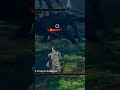 A batalha contra Kalameet continua #games #gameplay #DarkSouls #soulslike #DLC #artorias