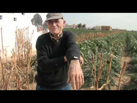 Vídeo: L’agricultura Com A Professió