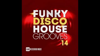 2023 11. 29 - VA Funky Disco House Grooves