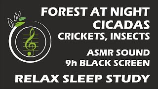Sound of forest at night, crickets, cicadas, insects  9 hours ASMRNatureSound