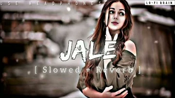 JALE ( SLOWED + REVERB) SONG ! jale 2 lofi song! @Lyricsmusic439