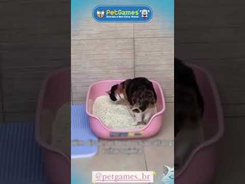 Caixona de Areia Rosa Pet Games – Bandeja Higiênica para Gatos