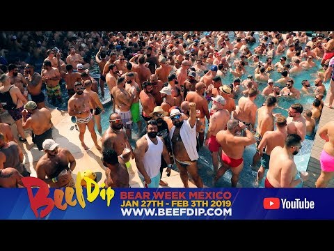BeefDip 2019 - Official Aftermovie