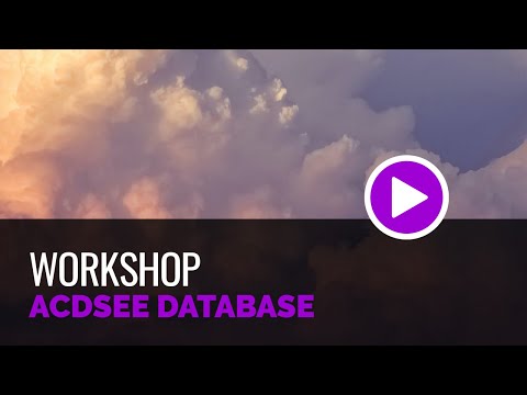 Understanding the ACDSee Database