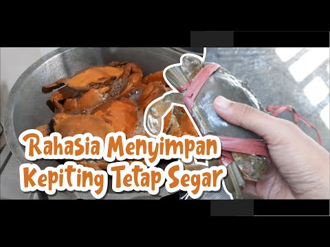 Cara Membersihkan kepiting dan cara Menyimpan Kepiting di kulkas