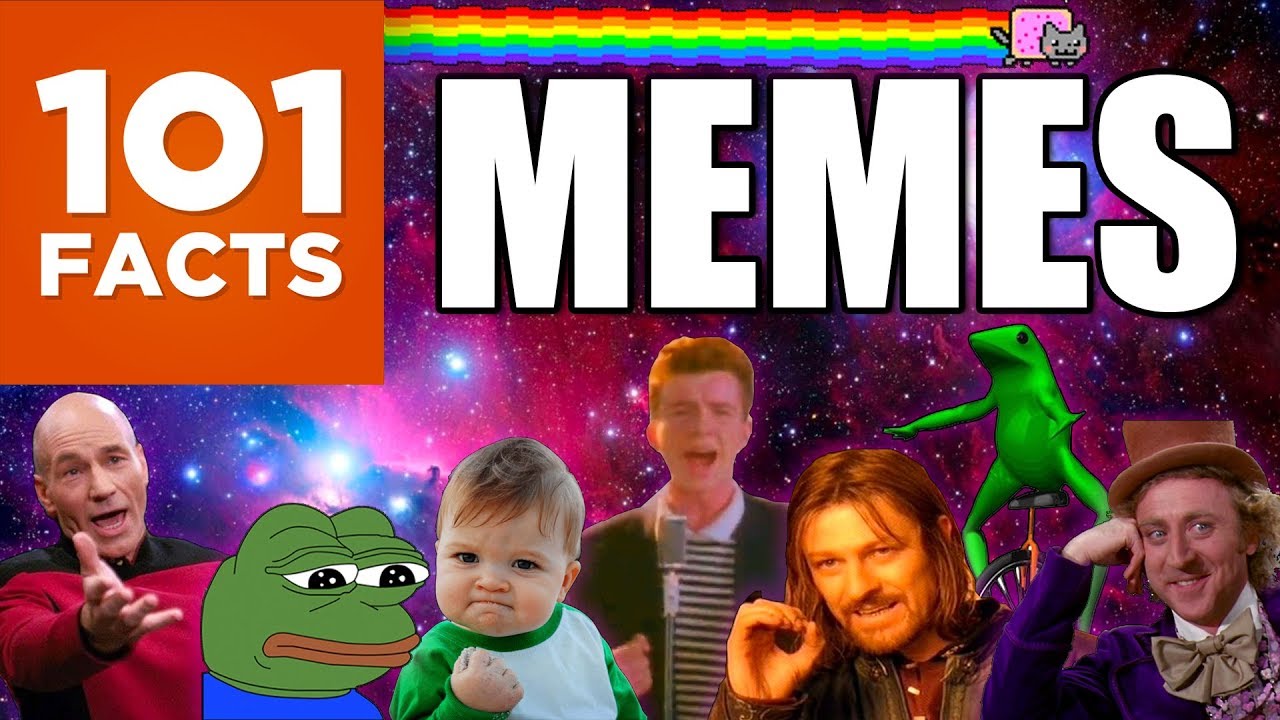 101 Facts About Memes