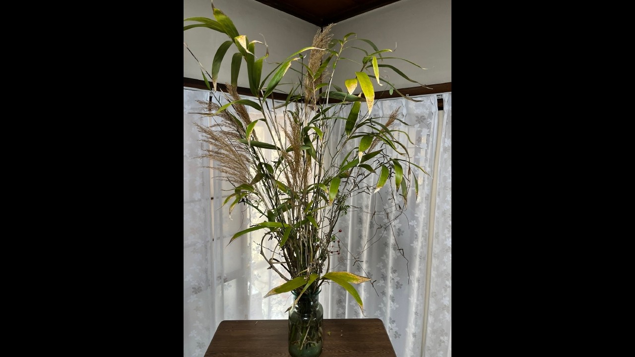 投稿904　０蘭Nature art